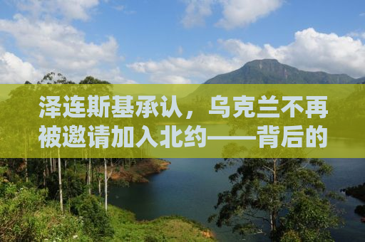 泽连斯基承认，乌克兰不再被邀请加入北约——背后的真相与影响