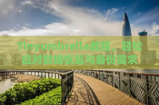 Tinyumbrella教程，轻松应对数据恢复与备份需求